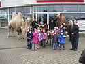 Auto Center Dübner GmbH schenkt Kindergarten Freikarten für Cirkus! Auto Center Dübner GmbH schenkt Kindergarten Freikarten für Cirkus!